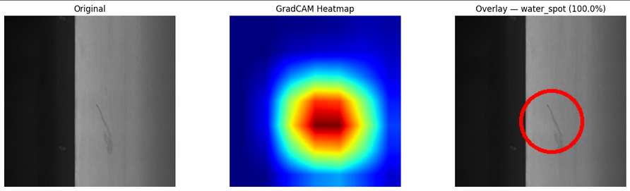 grad_cam_vis
